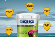 Hướng dẫn chọn các loại sơn tường cho không gian sống sinh động